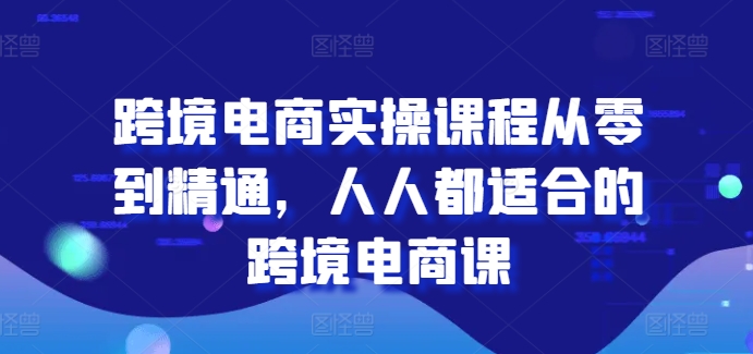 跨境电商实操课程从零到精通，人人都适合的跨境电商课-小伟资源网