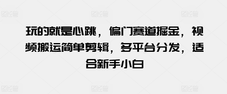 玩的就是心跳，偏门赛道掘金，视频搬运简单剪辑，多平台分发，适合新手小白【揭秘】-小伟资源网