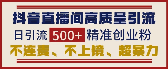 抖音直播高效引流，零连麦无上镜，日增500+精准创业粉丝-小伟资源网