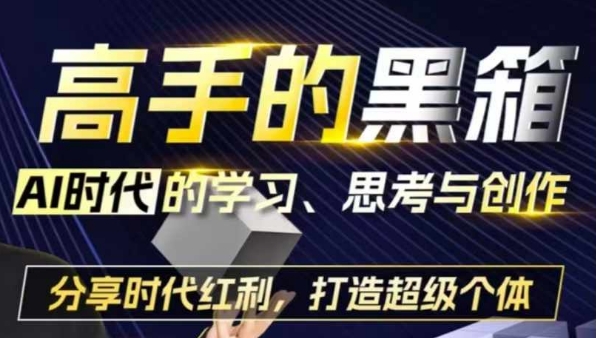 高手的黑箱：AI时代学习、思考与创作-分红时代红利，打造超级个体-小伟资源网