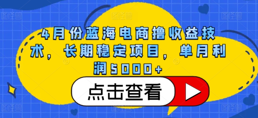 4月份蓝海电商撸收益技术，长期稳定项目，单月利润5000+【揭秘】-小伟资源网