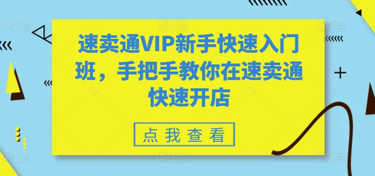 速卖通VIP新手快速入门班，手把手教你在速卖通快速开店-小伟资源网