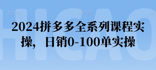 2024拼多多全系列课程实操，日销0-100单实操【必看】-小伟资源网