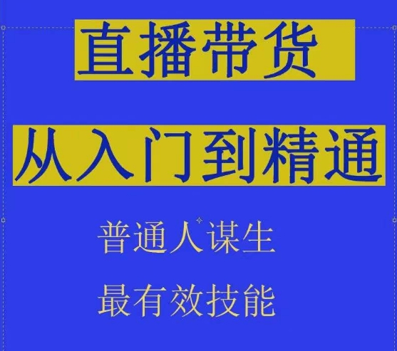 2024抖音直播带货直播间拆解抖运营从入门到精通，普通人谋生最有效技能-小伟资源网