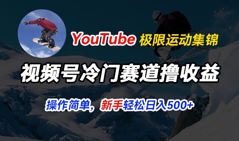 视频号冷门赛道撸收益，YouTube搬运极限运动集锦，暴力起号，操作简单流量高，轻松日入5张【揭秘】-小伟资源网