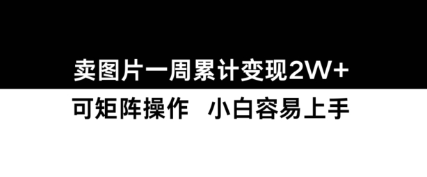 小红书【卖图片】一周累计变现2W+小白易上手-小伟资源网