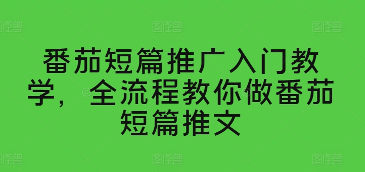 番茄短篇推文制作全攻略：入门教学全流程解析-小伟资源网