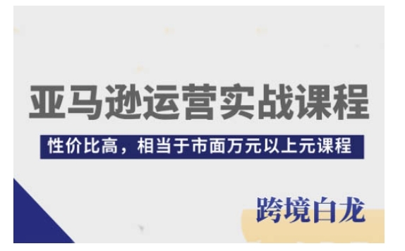 亚马逊运营全攻略：入门精通，高性价比课程，万元级内容直降！-小伟资源网