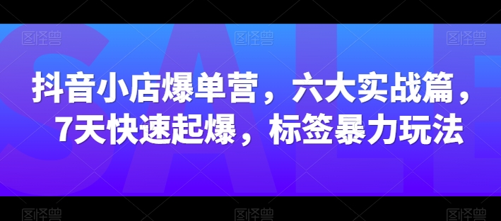 抖音小店爆单营，六大实战篇，7天快速起爆，标签暴力玩法-小伟资源网