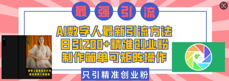 AI数字人引流新法：日增200精准创业粉，操作简便矩阵化-小伟资源网