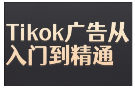 Tiktok Ads实操教程，Tiktok广告从入门到精通-小伟资源网