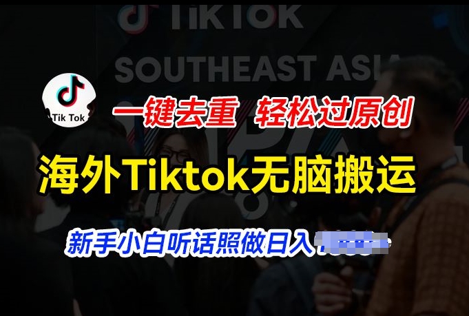 Tiktok短视频搬运技巧大全：一键去重轻松过原创，新手小白必看-小伟资源网