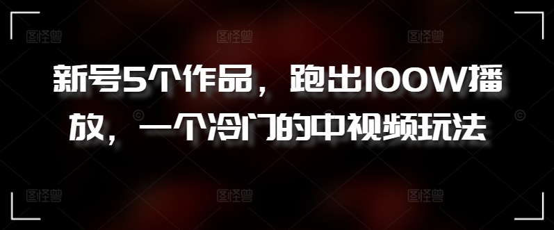 新号5个作品，跑出100W播放，一个冷门的中视频玩法【揭秘】-小伟资源网