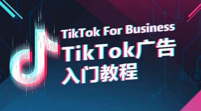 TikTok广告入门教程，从0到1掌握TikTok投放的全流程-小伟资源网