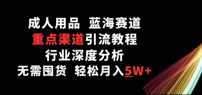 成人用品，蓝海赛道，重点渠道引流教程，行业深度分析，无需囤货，轻松月入5W+【揭秘】-小伟资源网