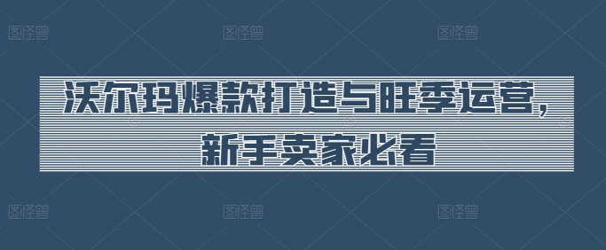 沃尔玛爆款打造与旺季运营，新手卖家必看-小伟资源网