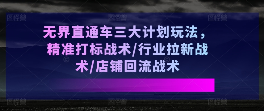 无界直通车的三大战术玩法：精准打标、行业拉新与店铺回流-小伟资源网