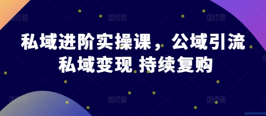 私域进阶实操课，公域引流 私域变现 持续复购-小伟资源网