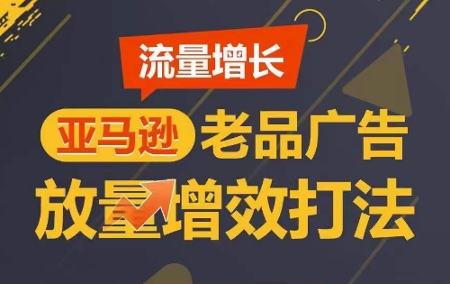 流量增长 亚马逊老品广告放量增效打法，短期内广告销量翻倍-小伟资源网