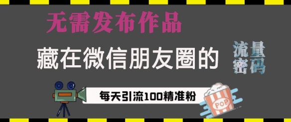 微信朋友圈流量密码揭秘：无需发布作品，轻松实现单日引流100+精准创业粉丝！-小伟资源网