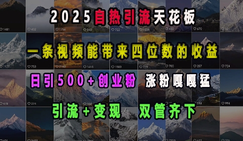 2025年自热引流新高峰：视频变现，日增500粉，收益翻倍！-小伟资源网