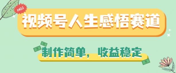 探索视频号的成功之道：轻松制作与稳定收益的秘诀分享-小伟资源网