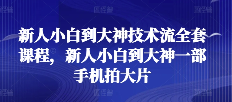 新人小白到大神技术流全套课程，新人小白到大神一部手机拍大片-小伟资源网