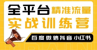 全平台SEO引流实战：百度、微信、抖音、小红书流量秘籍-小伟资源网