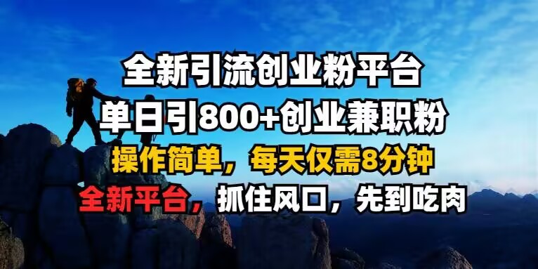 单日引流800+，8分钟轻松创业兼职粉平台揭秘-小伟资源网