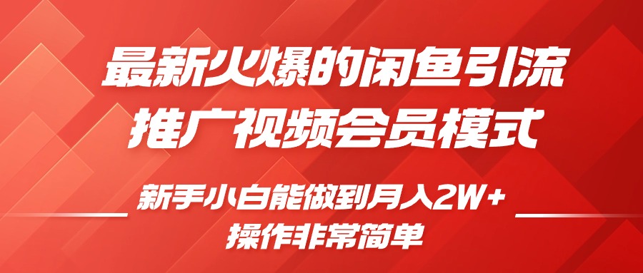 闲鱼引流推广影视会员，0成本就可以操作，新手小白月入过W+【揭秘】-小伟资源网