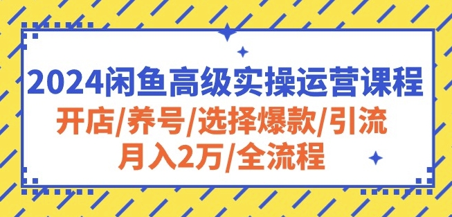 2024闲鱼高级实操运营课程：开店/养号/选择爆款/引流/月入2万/全流程-小伟资源网