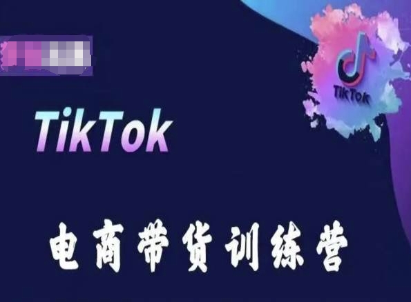 TikTok电商带货训练营，跟随时代潮流，跨境掘金-小伟资源网