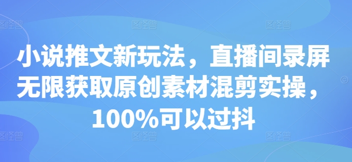 小说推文新玩法，直播间录屏无限获取原创素材混剪实操，100%可以过抖-小伟资源网