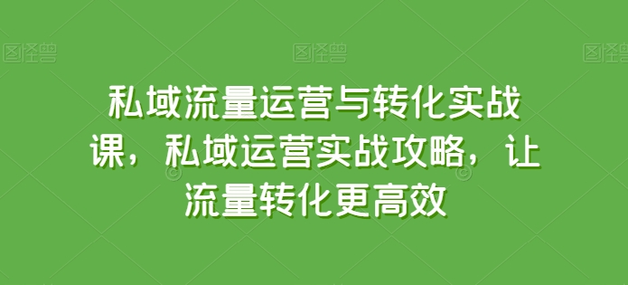 私域流量运营与转化实战课，私域运营实战攻略，让流量转化更高效-小伟资源网