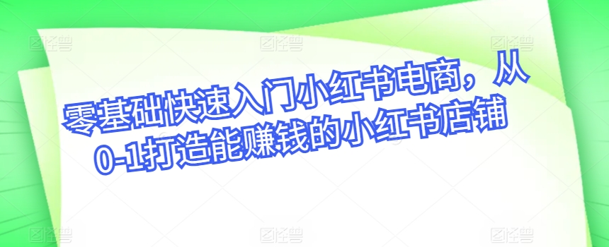 零基础快速入门小红书电商，从0-1打造能赚钱的小红书店铺-小伟资源网