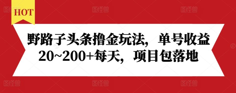 野路子头条撸金玩法，单号收益20~200+每天，项目包落地-小伟资源网