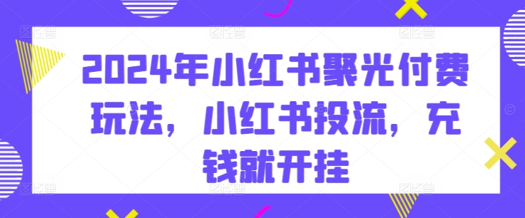 2024年小红书聚光付费玩法，小红书投流，充钱就开挂-小伟资源网