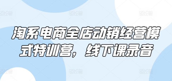 淘系电商全店动销经营模式特训营，线下课录音-小伟资源网