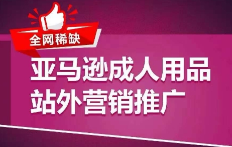 亚马逊成人用品站外营销秘籍：引爆流量，爆单新纪元-小伟资源网