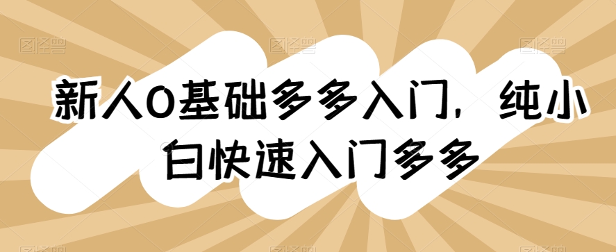 新人0基础多多入门，​纯小白快速入门多多-小伟资源网