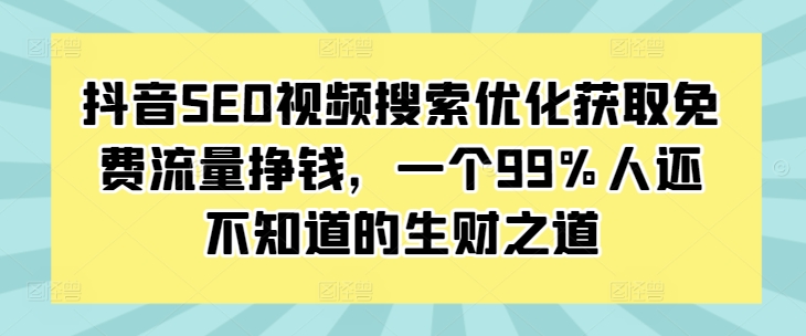 抖音SEO视频搜索优化获取免费流量挣钱，一个99%人还不知道的生财之道-小伟资源网