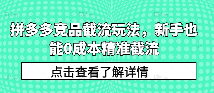 拼多多竞品截流玩法，新手也能0成本精准截流-小伟资源网