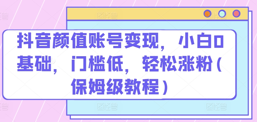 抖音颜值账号变现，小白0基础，门槛低，​轻松涨粉(保姆级教程)【揭秘】-小伟资源网