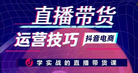 直播带货运营技巧，学实战的直播带货课-小伟资源网