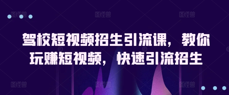 驾校短视频招生引流课，教你玩赚短视频，快速引流招生-小伟资源网