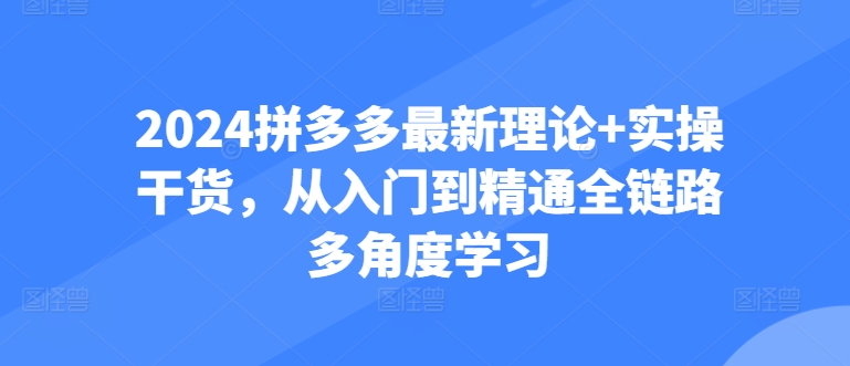 2024拼多多最新理论+实操干货，从入门到精通全链路多角度学习-小伟资源网