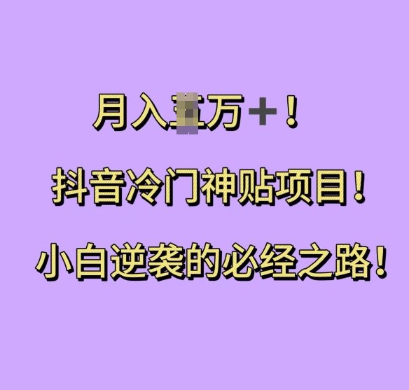 抖音冷门神贴项目，小白逆袭的必经之路，月入过W【揭秘】-小伟资源网