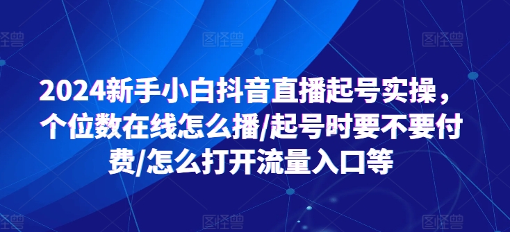 2024年新手小白抖音直播攻略：从零起步、提升在线人数、付费策略与流量入口解析-小伟资源网