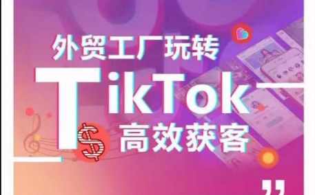 外贸工厂玩转TikTok高效获客，多种引流方式与账号定位技巧，拆解爆款短视频打造成功案例-小伟资源网