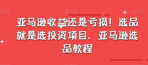 亚马逊选品攻略：揭秘收益与亏损背后的投资之道-小伟资源网